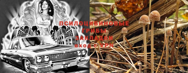 дурь Абинск