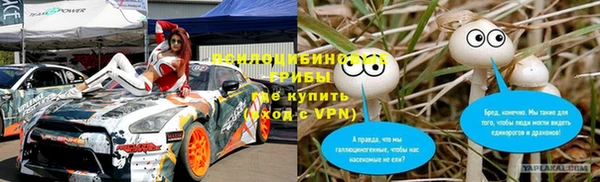 тгк Алексин