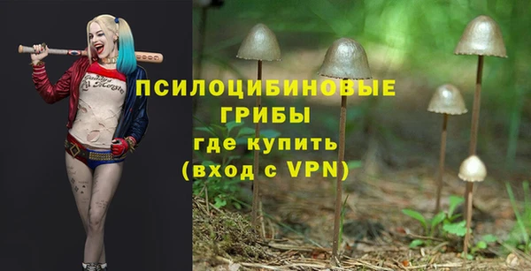 дурь Абинск