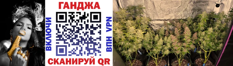Бошки марихуана White Widow  продажа наркотиков  Вологда 